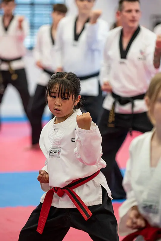 Family Martial Arts Classes | Ady Jones TKD Academy Near Me in Acrefair
